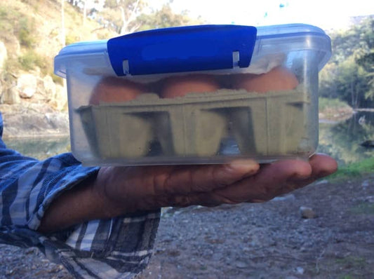Simple Trick for Storing Eggs While Camping