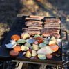 Collapsible BBQ Plate - Image 4