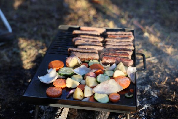 Collapsible BBQ Plate - Image 4