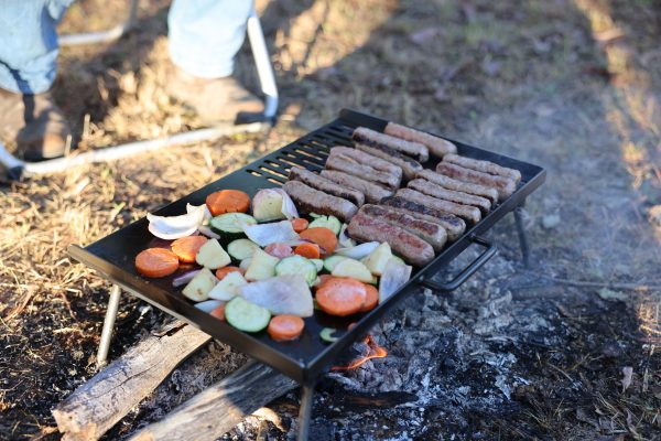 Collapsible BBQ Plate - Image 3